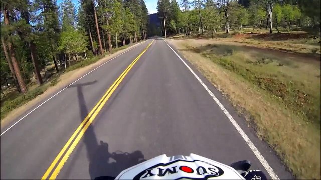 Biker VS dead deer on side of road... Whith a balloon around its neck