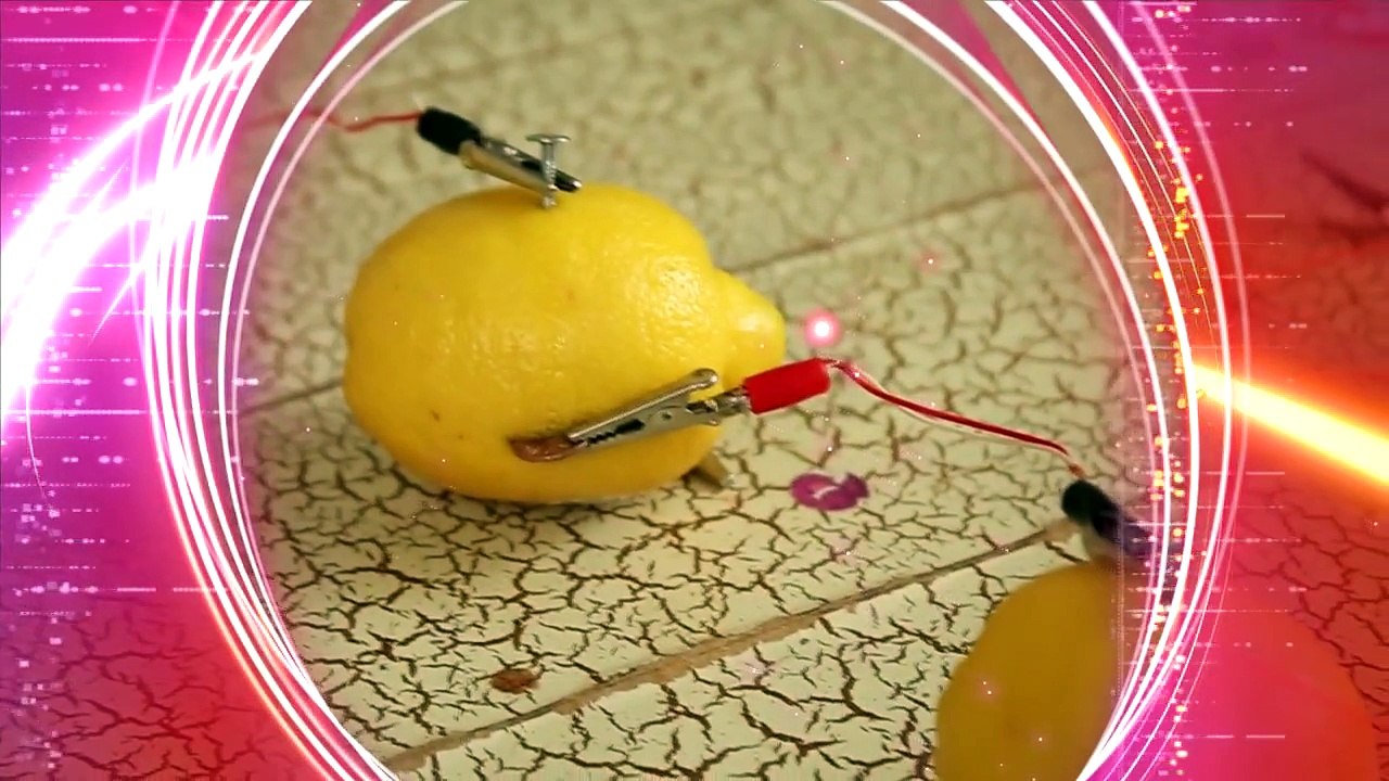 How To Light a Bulb With Citrus Fruit - Science Fair Experiment