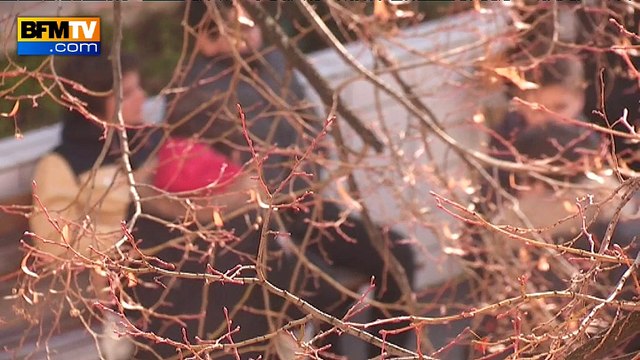 Gossip, l’application qui fait peur à l’Education nationale