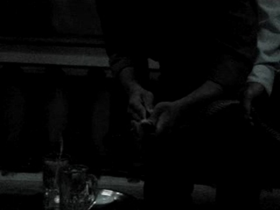 Repas au cobra, Hanoi