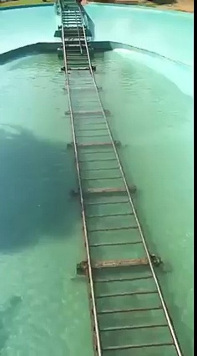 Wow! Looks fun.