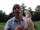 My pet birds / cockatoos / parrots beak broke, Q and A with Rod Villemaire of Bird Planet TV