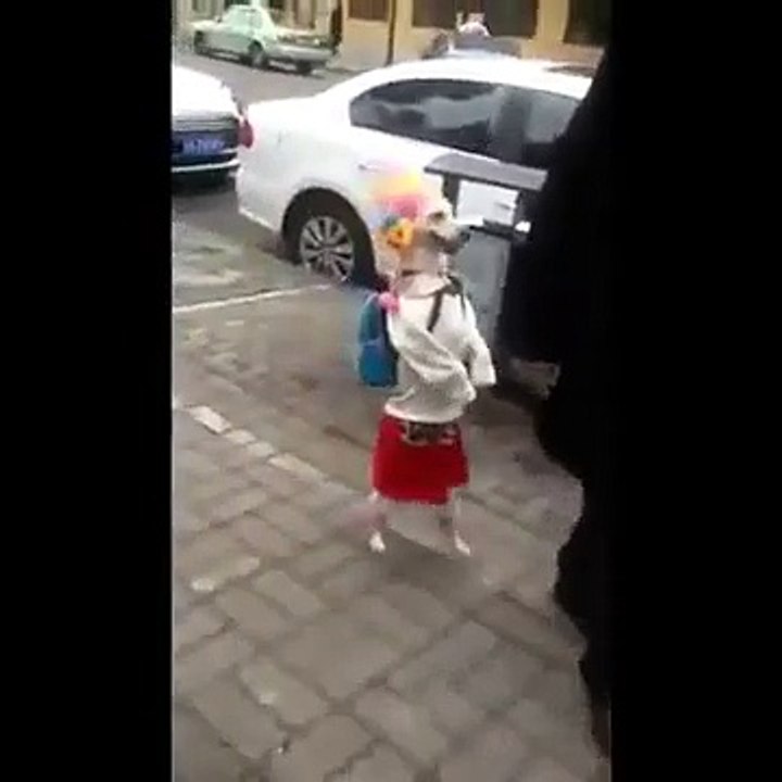 Check out the girl