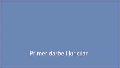 primer darbeli kırıcılar-www.turkishmachine.com-+90 541 616 52 61