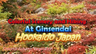 Japan Travel: Colorful Scenery and Hiking at Ginsendai, Hokkaido13