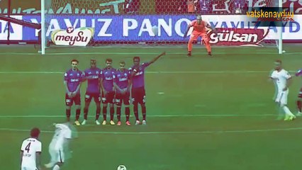 Wesley Sneijder - Galatasaray (2014/2015)