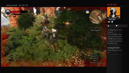 2015-05-31 Live The Witcher III part 2