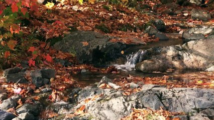 Small Waterfall In The Autumn