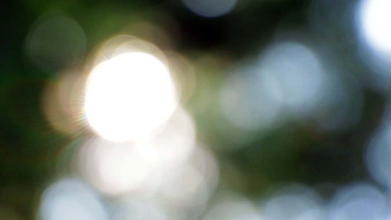 Blurred tree