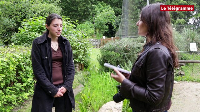 Nouveaux animaux de compagnie. Propriétaires et animaleries ont-elles un comportement responsable ?