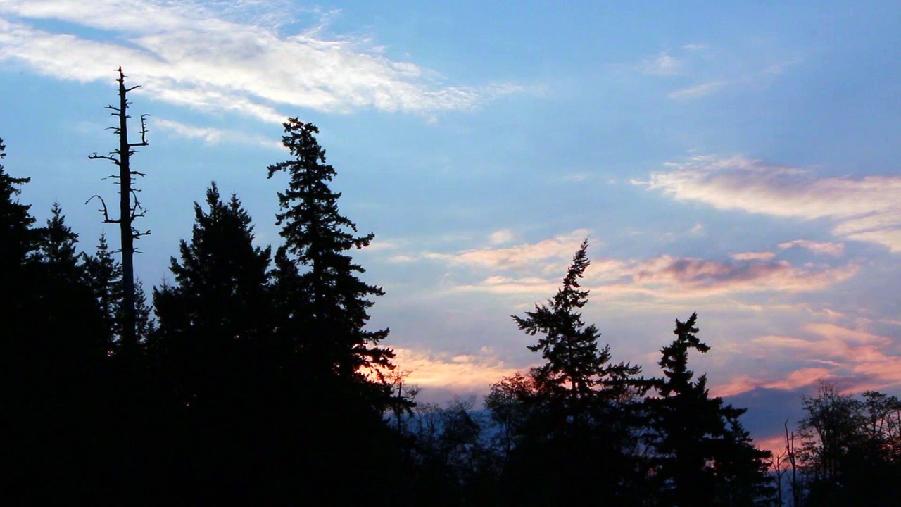 Orange sky