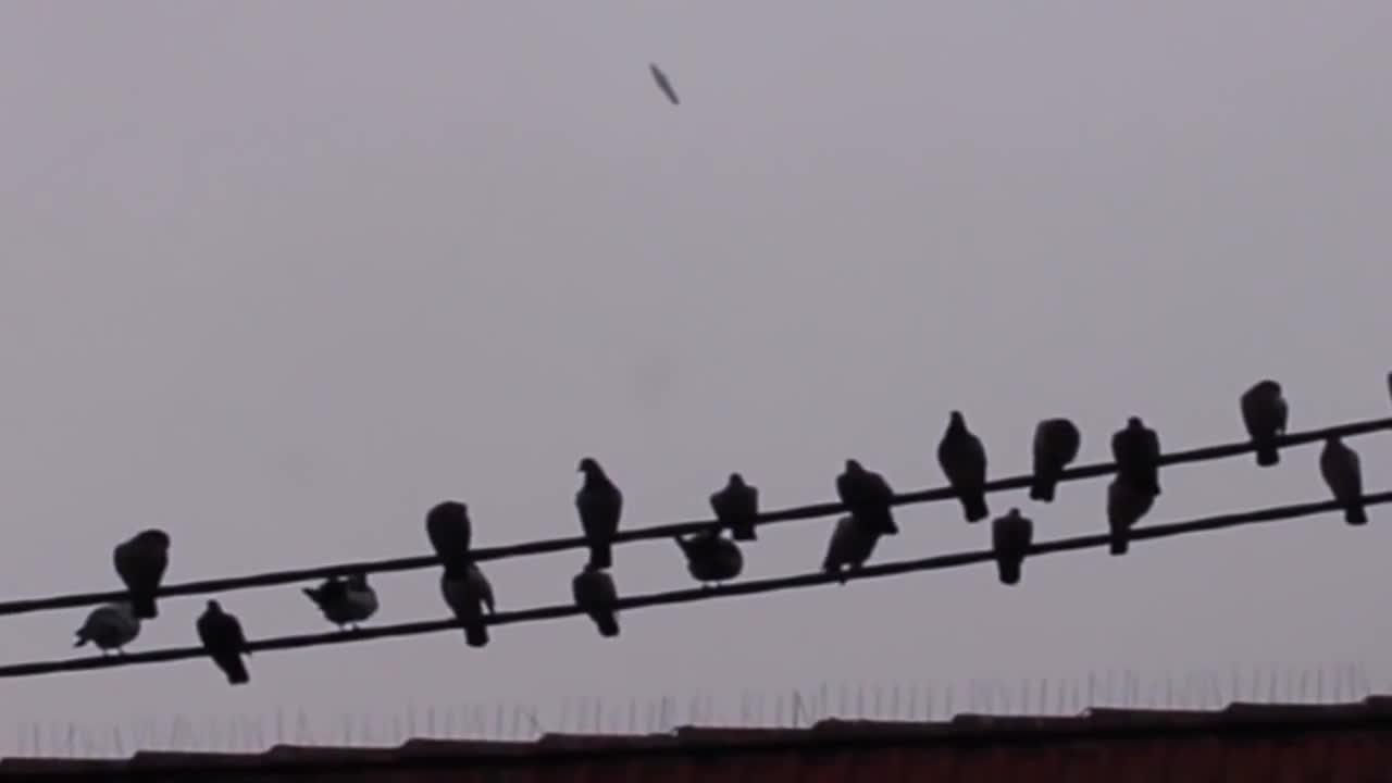 Cigar-shaped UFO spotted over Sweden?