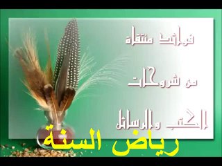 حكم التكلم مع النساء وخاصة الجارات  للشيخ ✯سليمان الرحيلي
