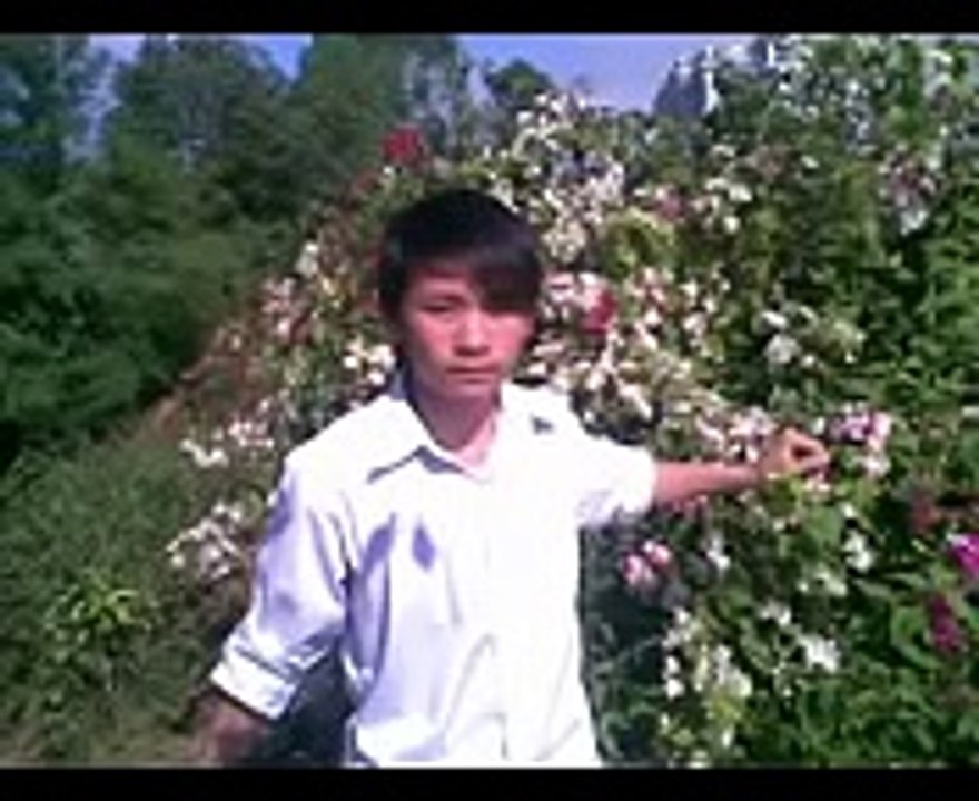 nkauj hmoob mai son