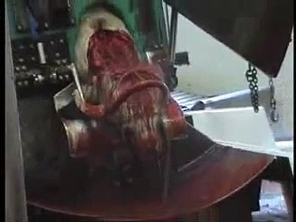 Muerte toro