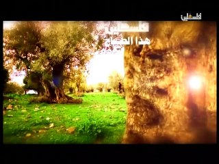فلسطين هذا الصباح ج1 - 3/6/2015