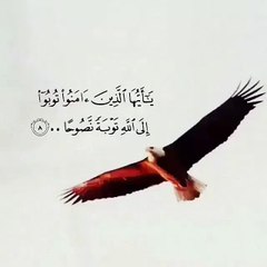 شيخ منصور السالمي