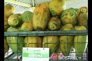 Inauguran en Camagüey mercado para venta de frutas, hortalizas y viandas