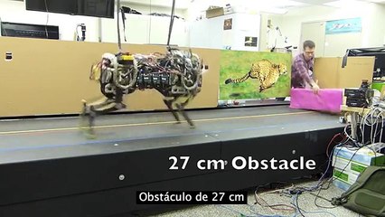 Crean a uno de los animales más rápidos del mundo como un robot