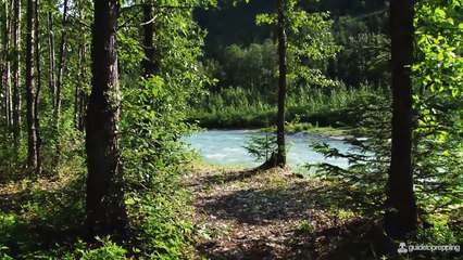 How To Survive In The Wilderness (Wilderness Survival Tips)