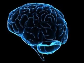 İnsan Beyninin Çözülemeyen Büyük Sırrı