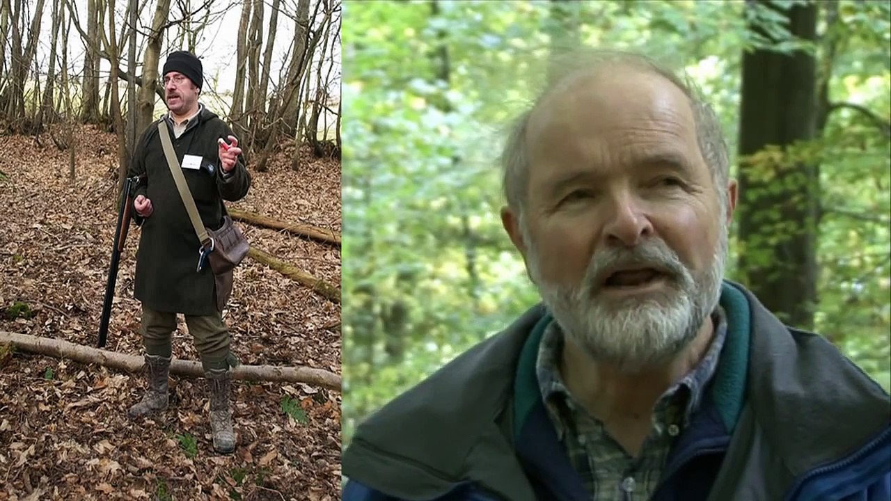 Grey Squirrel Control - trapping and shooting