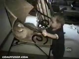 Cats slapping Small Children