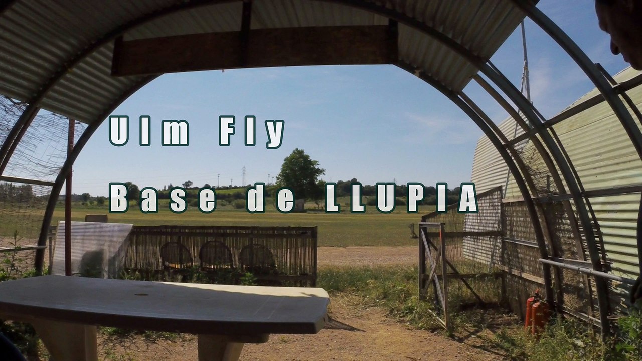 ulm fly