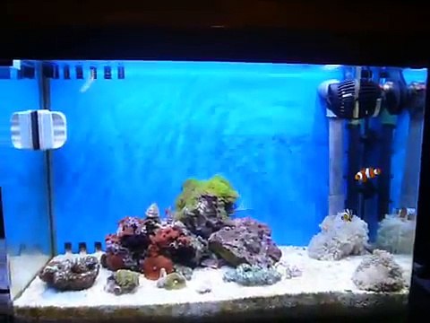 Led Fish Tank Light
