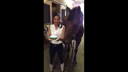 Doğum günü pastasındaki mumları söndüren at