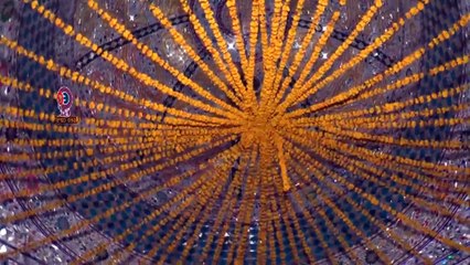 Na Hai Hadait Ki Zarorat Na haram Se Wasta  Asif Manzoor Santu Qawal جشن پاک کھونڈی والی سرکار 2015