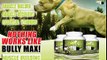 Dog Muscle Building Supplement Featuring Pit Bulls Bully Max Supplements