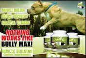 Dog Muscle Building Supplement Featuring Pit Bulls Bully Max Supplements