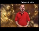 IL VOLTO DI MARTE- Cydonia -