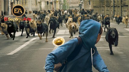 'White God (Dios blanco)' - Tráiler español (HD)