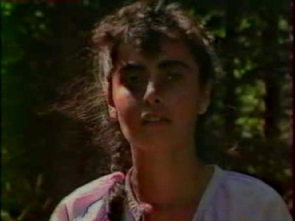 Hirondelle et olivier