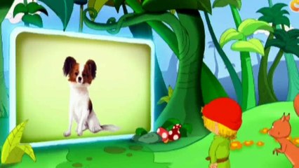 براعم بيكسي والحائط العجيب الكلاب والذئاب