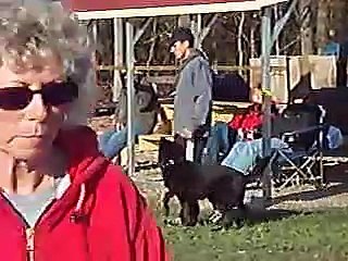 Mark Saccoccio - Vienna von der Sägmühle