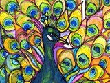 Peacocks -  Pavoni