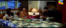 Assi Episode 29 Full HUM TV Drama 1 June 2015