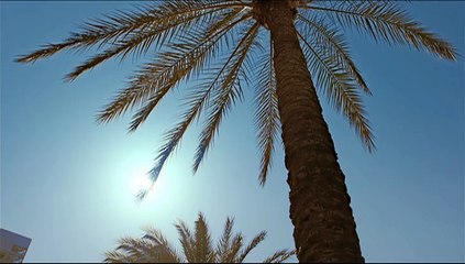 Babar Khan 2nd Wedding Pictures with Bisma Khan