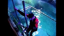 Snorkelling with sharks - SEA LIFE Blackpool