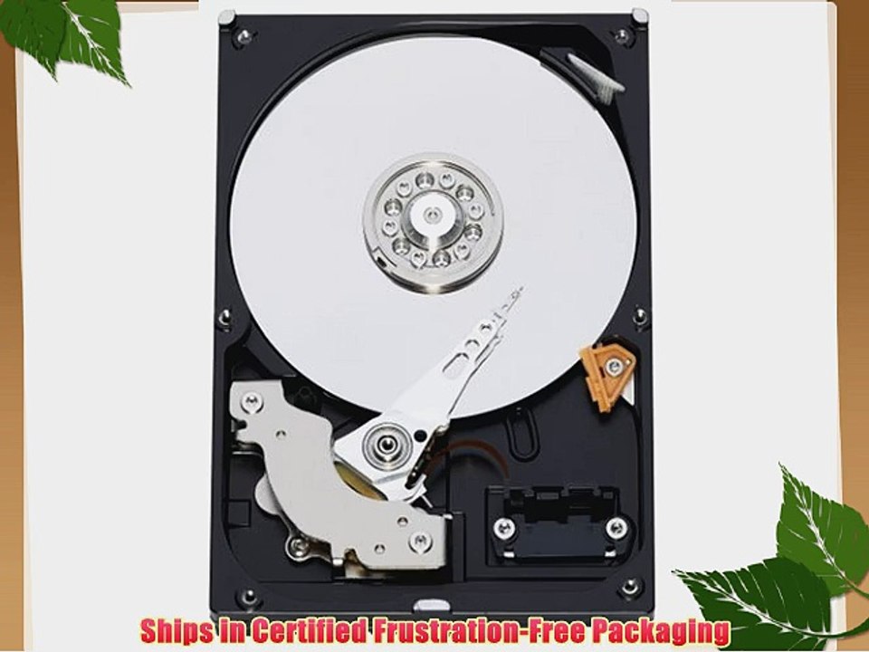 Western Digital 250 GB Caviar Blue SATA 3 Gb/s 7200 RPM 16 MB Cache Bulk/OEM Desktop Hard Drive