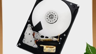 HGST Ultrastar 7K3000 HUA723020ALA640 2 TB 3.5 Internal Hard Drive