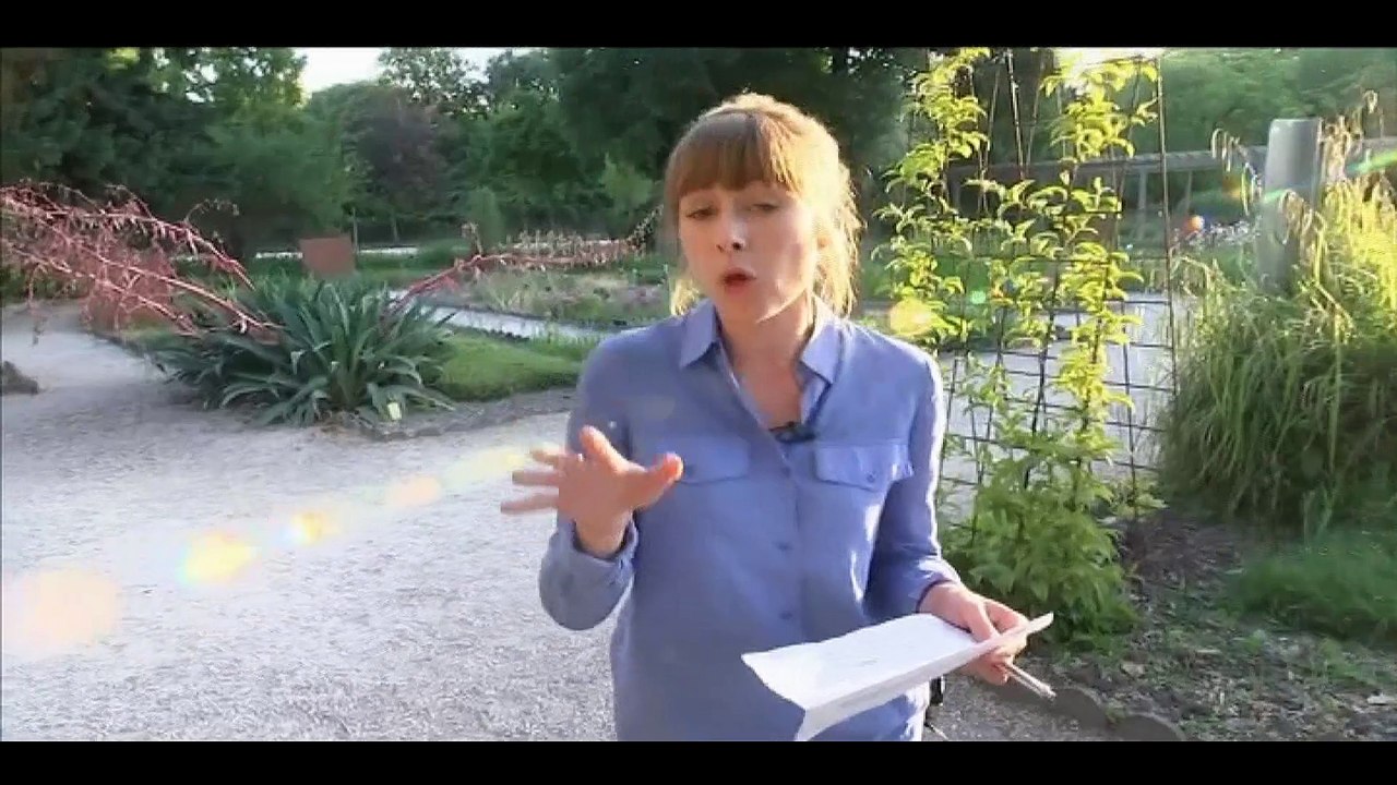 Matinale spéciale "Objectif Terre, bougeons nous": visite du Jardin botanique du Muséum d'histoire naturelle