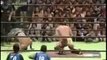 the 20 best wrestling move of ever CZW WWE TNA ECW SPW