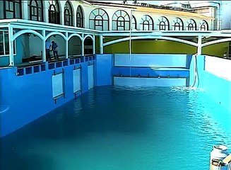 DELFINES ACUARIO DE VERACRUZ