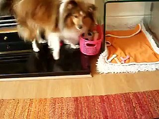 Get it and put it back