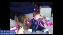 Best Pet and Animal Vines AUGUST 2014 Compilation of Funny and Awesome Pet Vines!