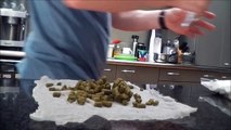 Dry Hopping: How to Dry Hop your Homebrew Beer